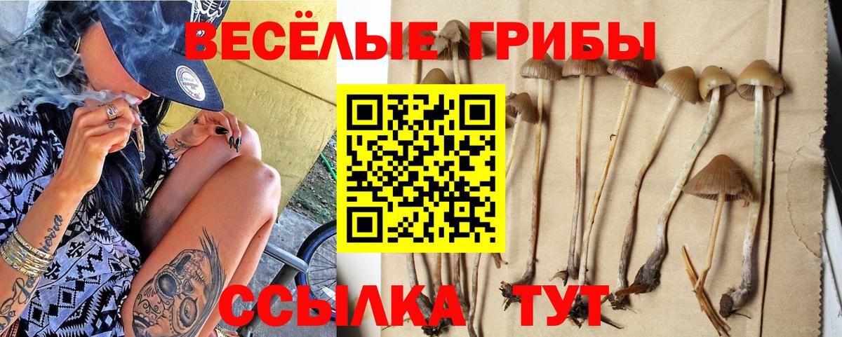 Псилоцибиновые грибы мицелий Заволжье