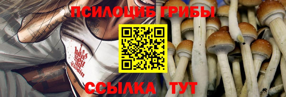 Заволжье  Галлюциногенные грибы MAGIC MUSHROOMS  Вход с VPN  Псилоцибиновые грибы прущие грибы 